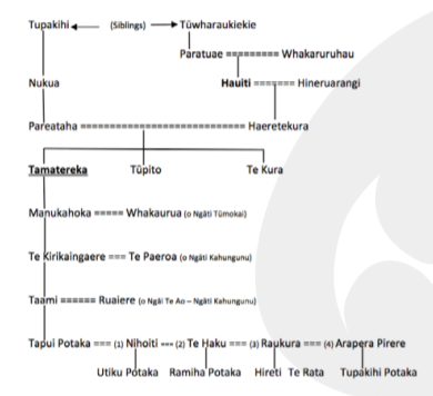 Ngāti Tamatereka